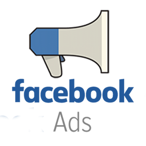 facebook meta business professional digital marketing social media adverticing